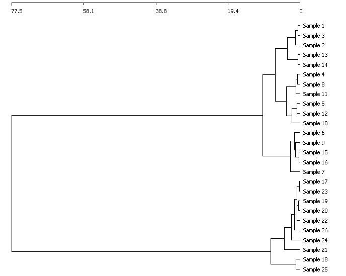 dendrogram